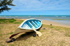 Anse Mourouk, Rodrigues island, Mauritius: rudder standing against a small fishing boat on the beach - photo by M.Torres