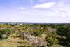 South Africa - Modimole: bushveld view - sub-tropical woodland - photo by J.Stroh