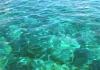 Tobago cays: Caribbean water (photographer: Pamala Baldwin)