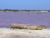 Sngal - lac Retba / lac Rose: il doit sa renomme  la teinte originale et changeante de son eau, mais aussi au rallye Paris-Dakar dont il constitue lultime tape - photographie par G.Frysinger