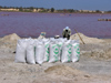 Senegal - Lake Retba or Lake Rose: salt bags - photo by G.Frysinger