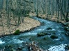 Slovakia - near Zvolen: Autumn creek (photo by Milos Bercik)