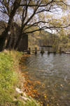 Slovenia - banks of the Kolpa / Kupa River, southern Slovenia - photo by I.Middleton