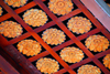 Kandy, Central province, Sri Lanka: lotus flowers on the ceiling - Sri Dalada Maligawa - Temple of the Sacred Tooth Relic - photo by M.Torres