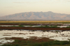 Africa - Tanzania - Lake Manyara at sunset - photo by A.Ferrari