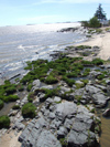 Uruguay - Colonia del Sacramento - rocky beach - photo by M.Bergsma