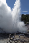 Yellowstone National Park, Wyoming, USA: multihued steaming thermal pool - photo by C.Lovell