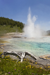 Yellowstone National Park, Wyoming, USA: Imperial Geyser erupts into a small pool in the Lower Imperial Basin - photo by C.Lovell