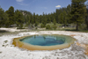 Yellowstone National Park, Wyoming, USA: a hot spring near Nez Perce Creek is one of thousands of thermal features in the park - photo by C.Lovell