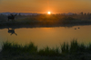 Yellowstone National Park, Wyoming, USA: a bull moose on the banks of the Firehole River - reflection at sunset - photo by C.Lovell