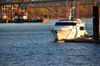 Portland, Oregon, USA: yacht on the Willamette River - Riverplace Marina - Marquam Bridge - photo by M.Torres