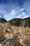 Rocky Mountain National Park, Colorado, USA: Roaring River - alluvial fan of debris in Horseshoe Park caused by the Lawn Lake Dam failure - photo by M.Torres