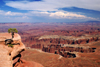 Canyonlands National Park, Utah, USA: Green River - small ponderosa pine on a cliff top - photo by A.Ferrari