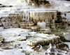 Yellowstone NP, Wyoming, USA: deer at Mammoth Hot Springs - travertine terraces - mineral deposits - Unesco world heritage site - photo by J.Fekete