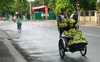 Hue - vietnam: bananas in a rickshaw - photo by Tran Thai