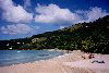 British Virgin Islands - Tortola: Brewers bay - Anderson (photo by M.Torres)