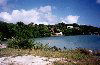 British Virgin Islands - Tortola: Hodges Creek (photo by M.Torres)