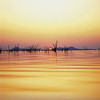 Zimbabwe - Lake Kariba, Mashonaland West province: sunset and dead forest - reservoir located on the Zambezi river - photo by W.Allgower