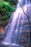 Grampians National Park, Victoria, Australia: Kalymna Falls - photo by G.Scheer