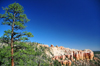 Bryce Canyon National Park, Utah, USA: Swamp Canyon - erosional continuum transition from plateau towards pinnacle - photo by M.Torres