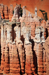 Bryce Canyon National Park, Utah, USA: Sunset Point - freestanding pinnacles in badlands like a platoon of stone soldiers - photo by M.Torres